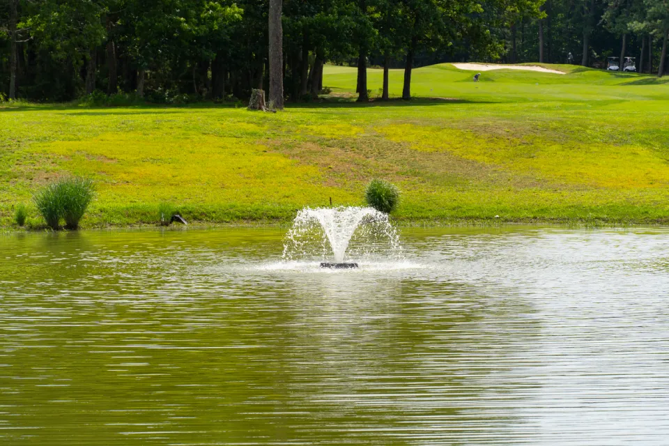 New Project - 2025-06-20T115730.214