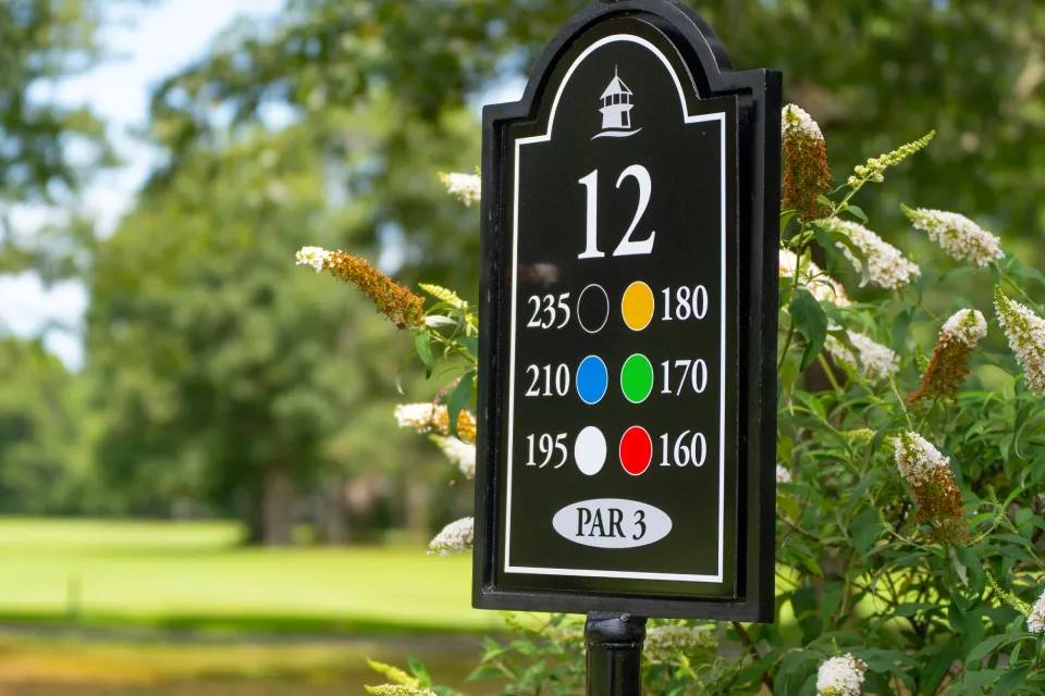 New Project - 2025-06-20T120004.805